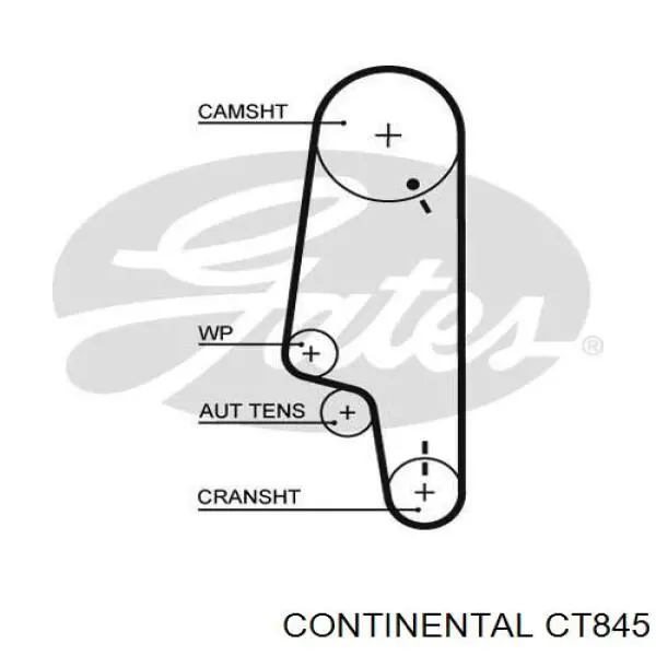 CT845 Continental/Siemens correa distribucion