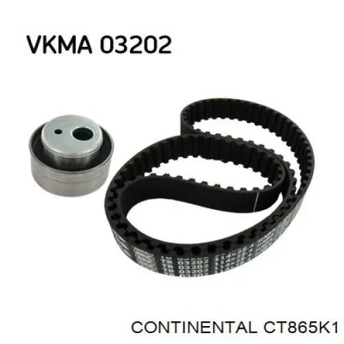 Comprar 99020061 Swag Kit de correa de distribución