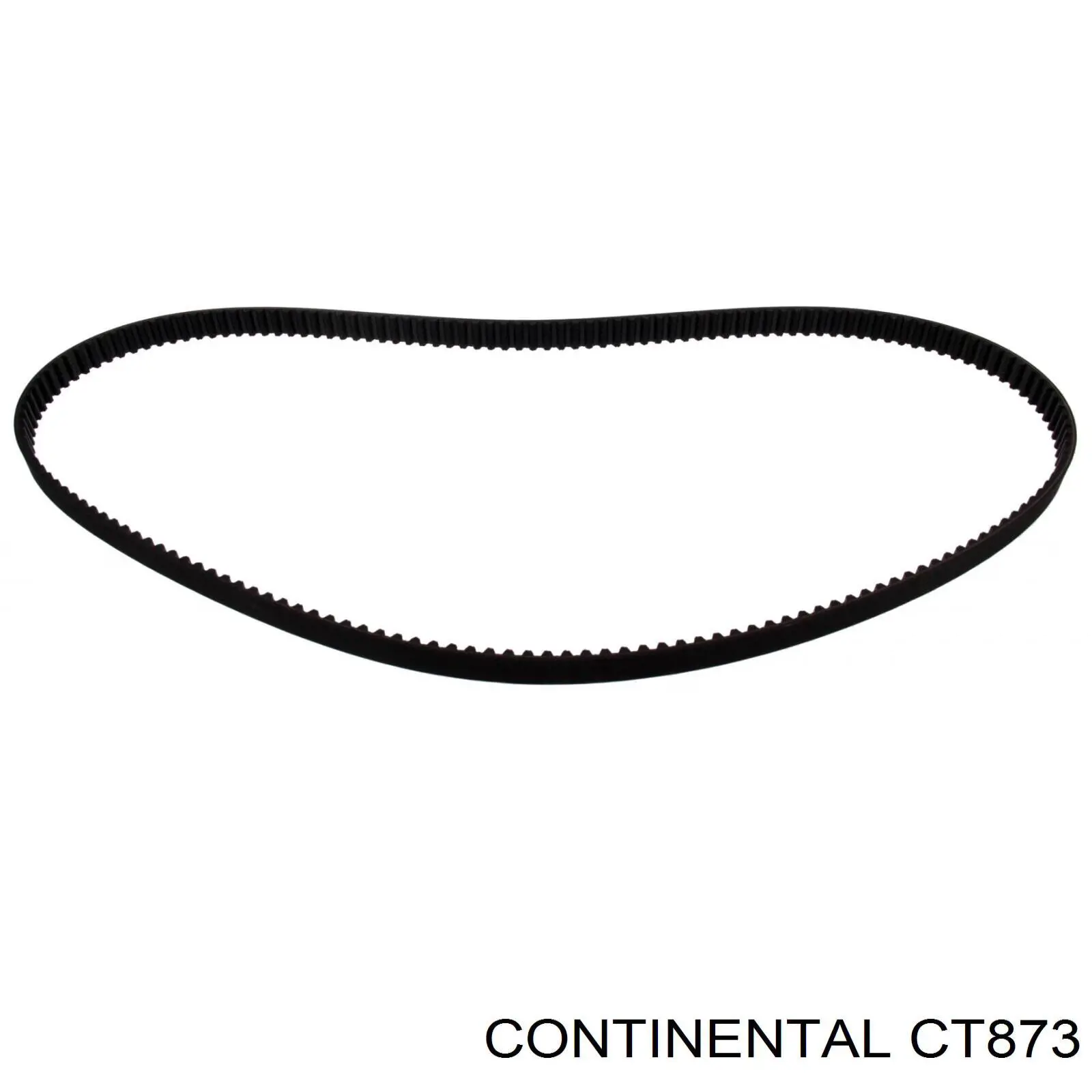 CT873 Continental/Siemens correa distribucion