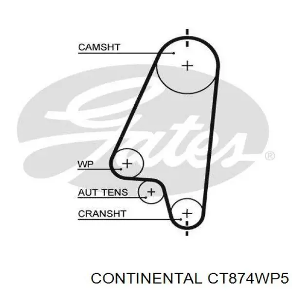 Juego de correas dentadas Continental/Siemens CT874WP5 precio, desde 146,54 EUR