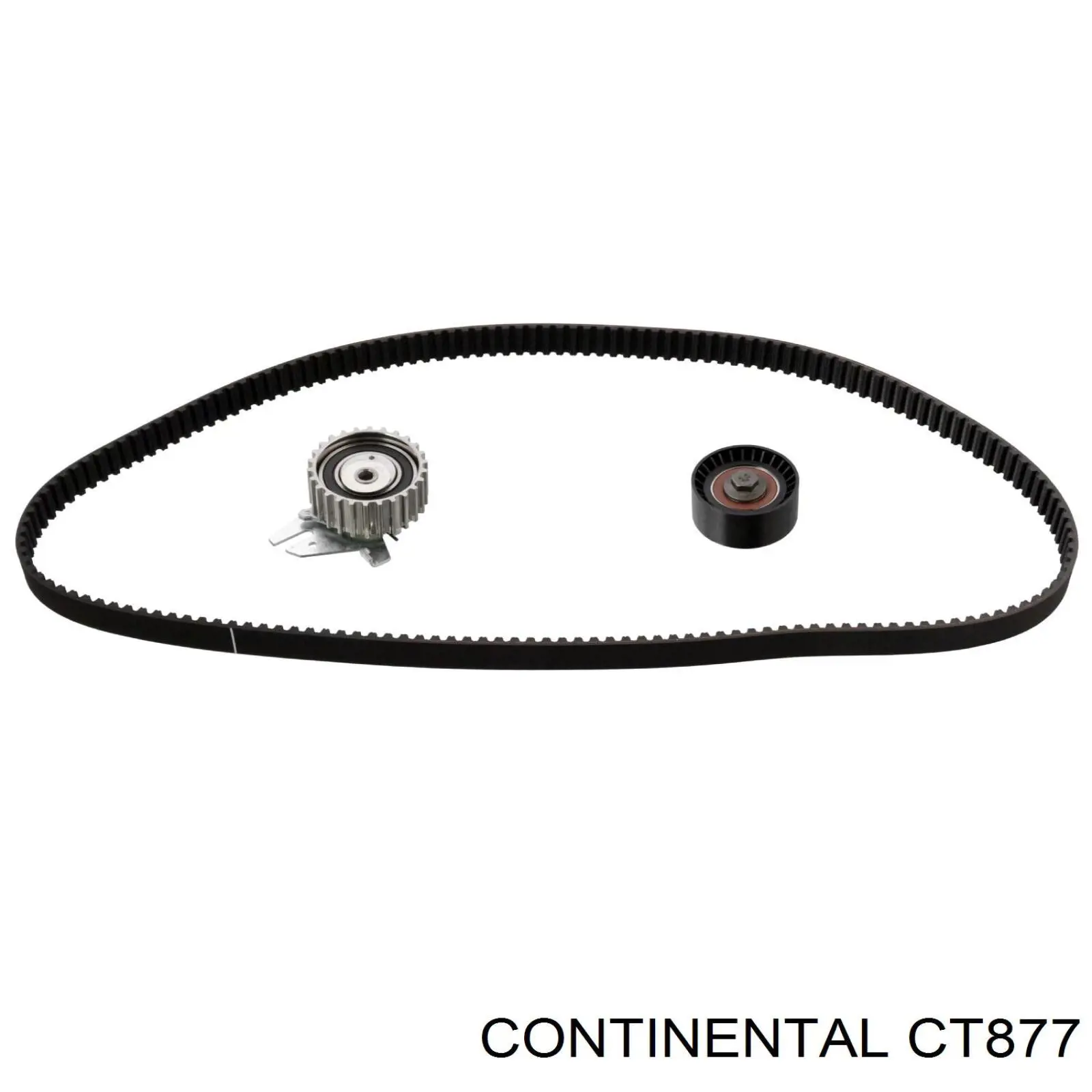 Correa distribución CT877 Continental/Siemens