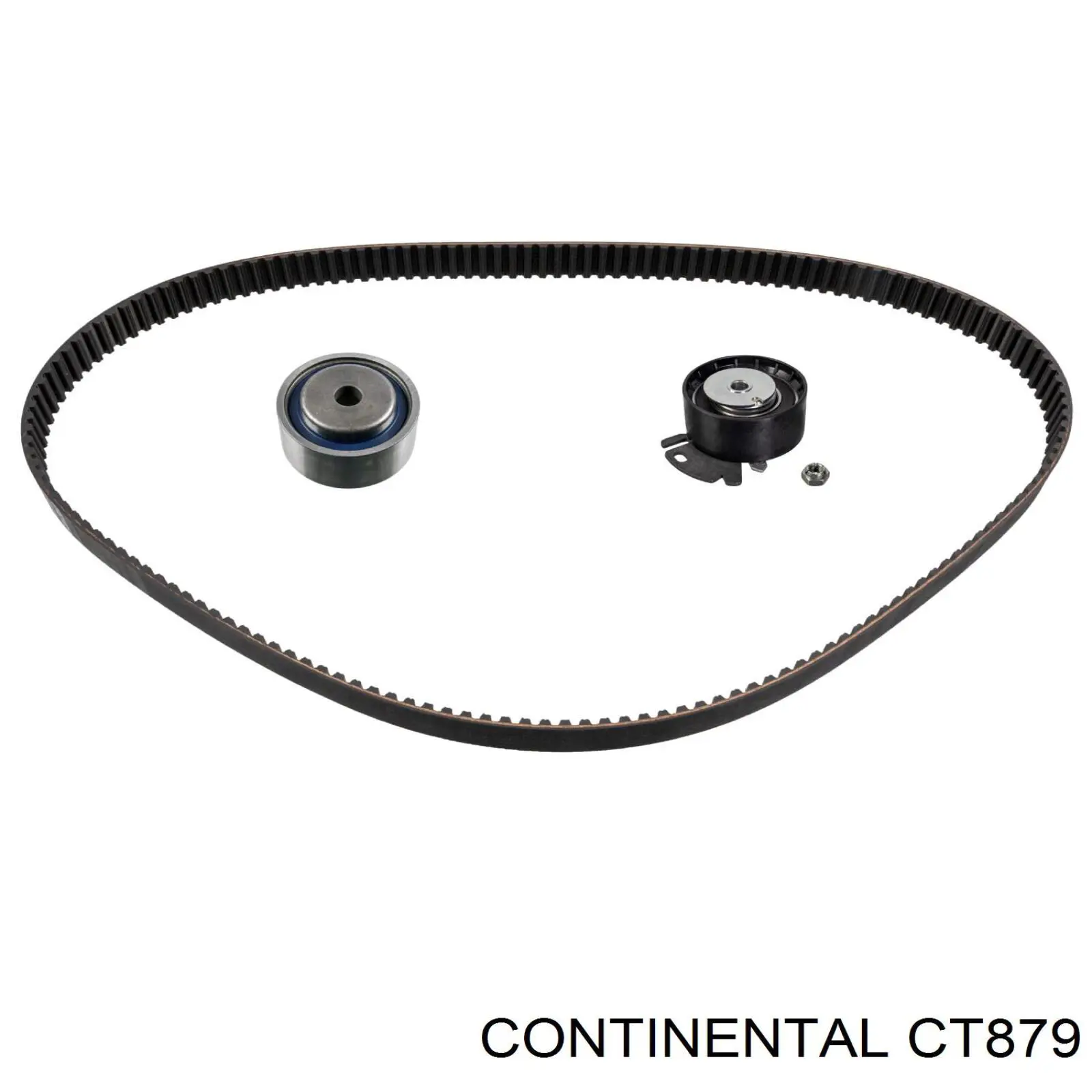 Correa distribución CT879 Continental/Siemens