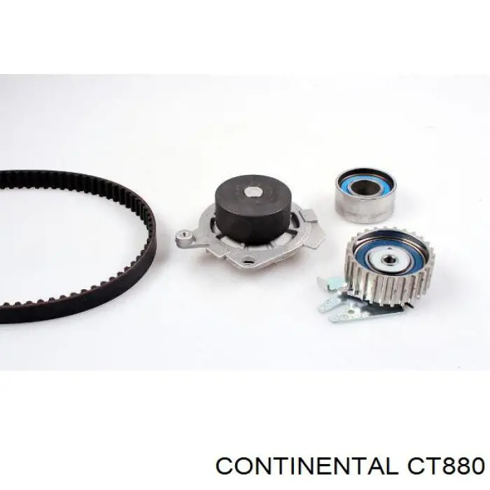 CT880 Continental/Siemens correa distribución