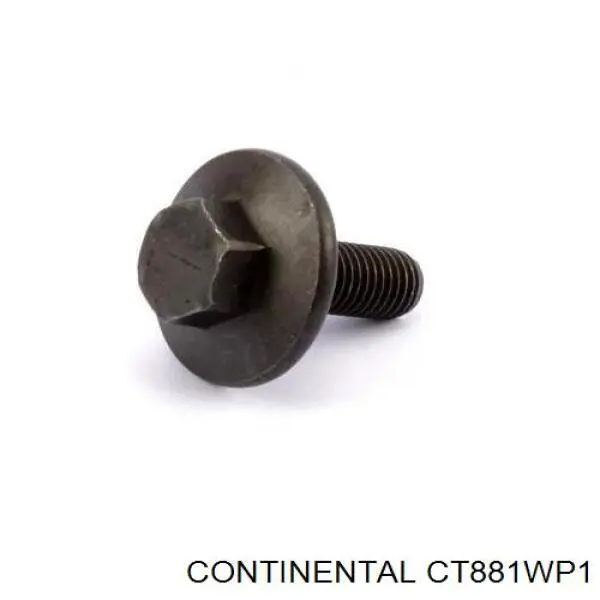 Juego de correas dentadas Continental/Siemens CT881WP1 precio, desde 79,41 EUR