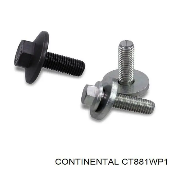 Kit de distribución CT881WP1 Continental/Siemens