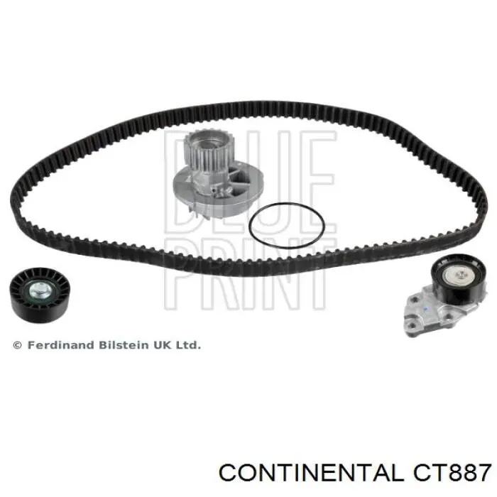 Correa distribución CT887 Continental/Siemens