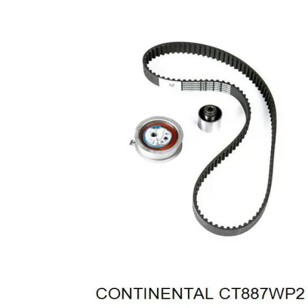 Juego de correas dentadas Continental/Siemens CT887WP2 precio, desde 193,66 EUR