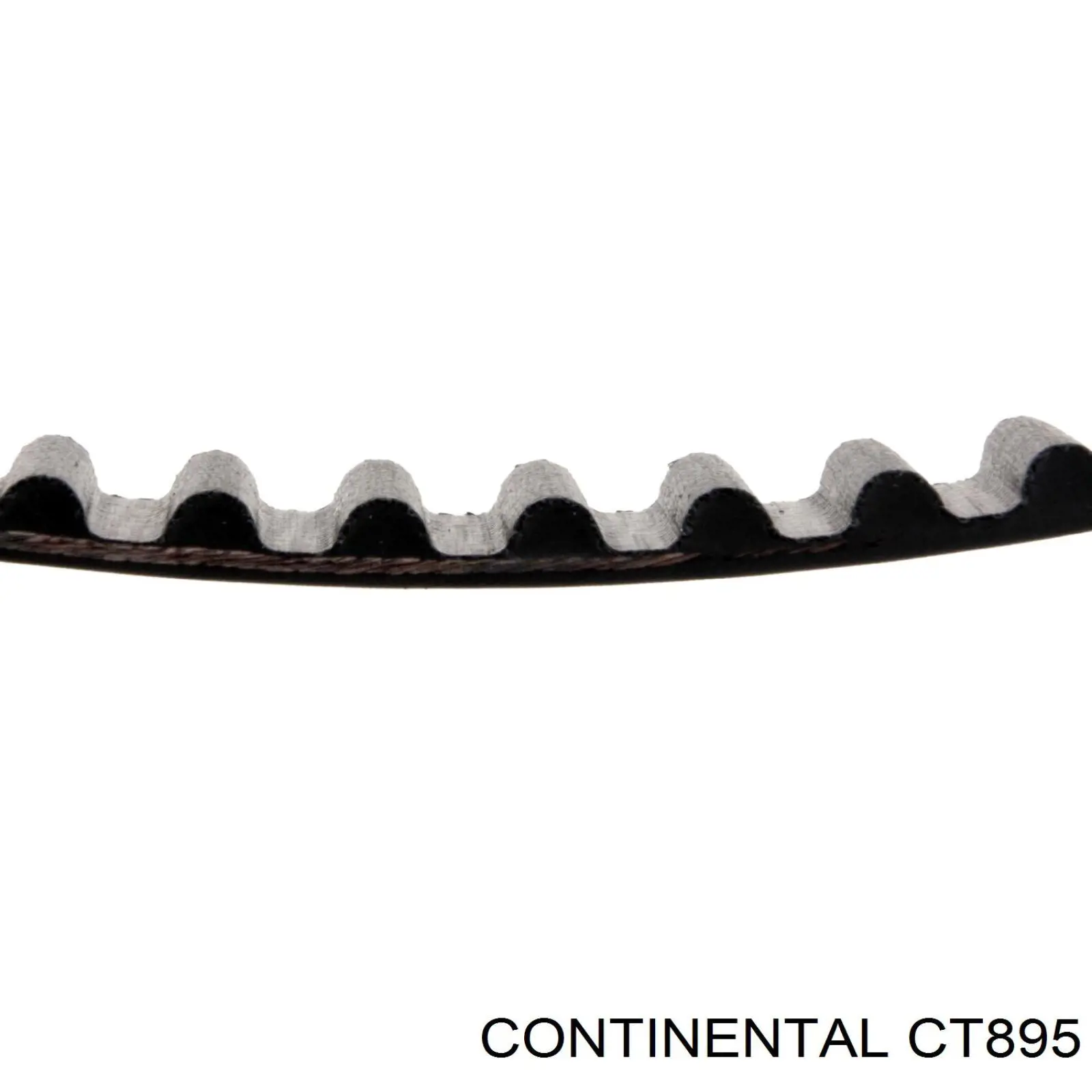 Comprar CT895 Continental/Siemens Correa distribución