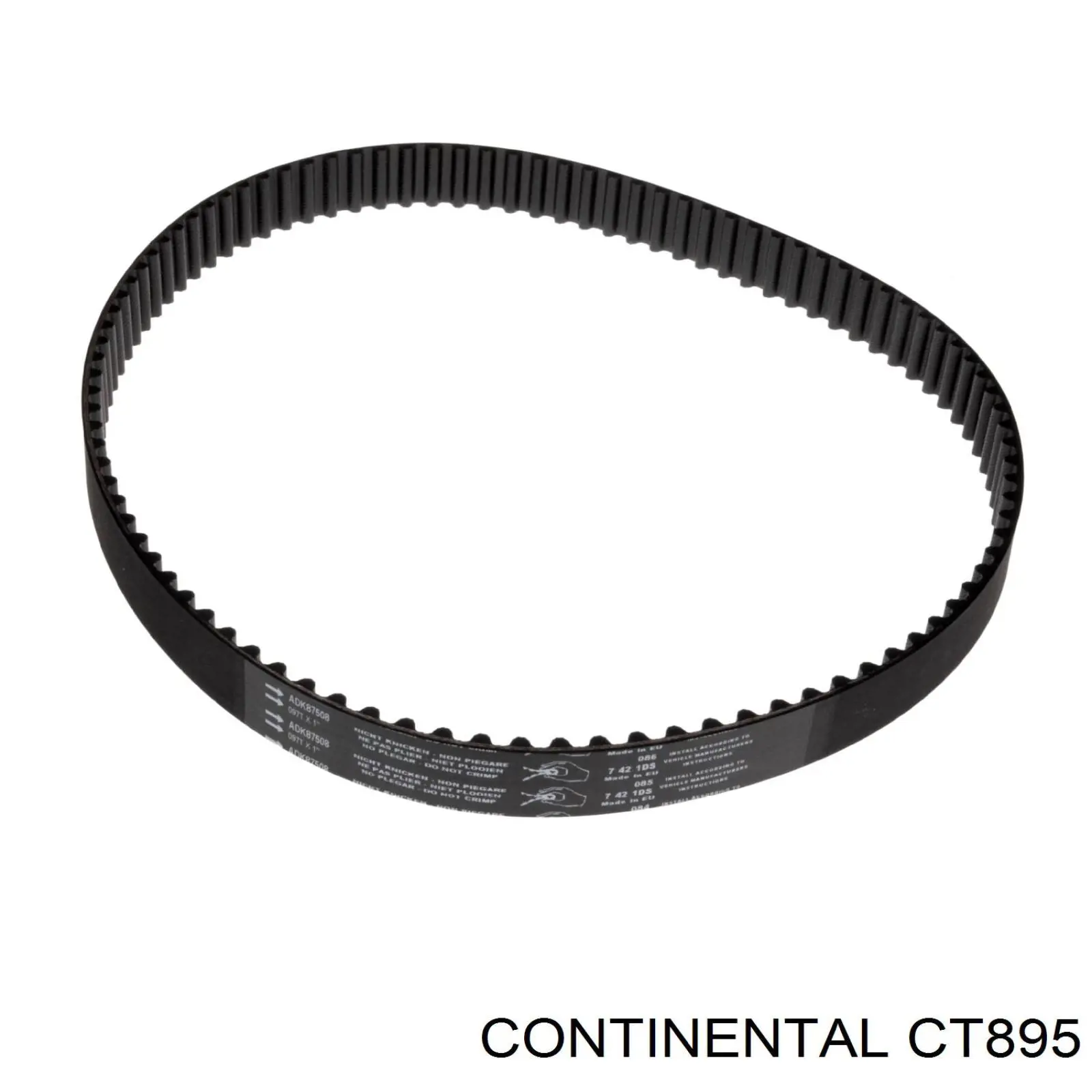 Correa distribución CT895 Continental/Siemens