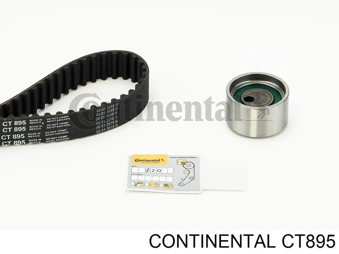Correa de distribución Continental/Siemens CT895 precio, desde 35,80 EUR