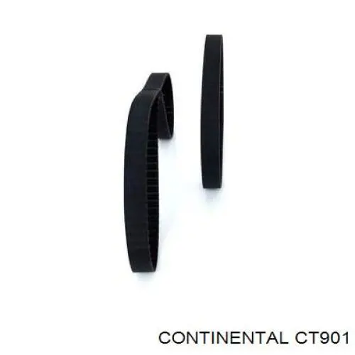 Correa de distribución Continental/Siemens CT901 precio, desde 69,89 EUR