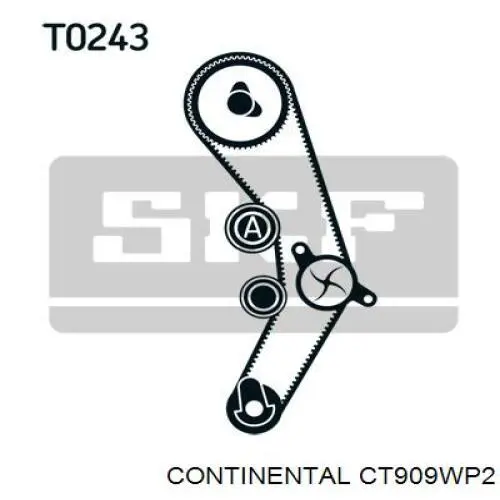 Kit de distribución CT909WP2 Continental/Siemens