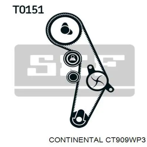 Kit de distribución KTBWP9751 Dayco
