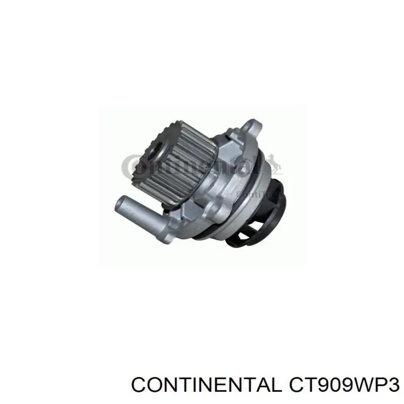 Kit distribución Dayco KTBWP9751