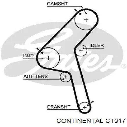 CT917 Continental/Siemens Correa dentada