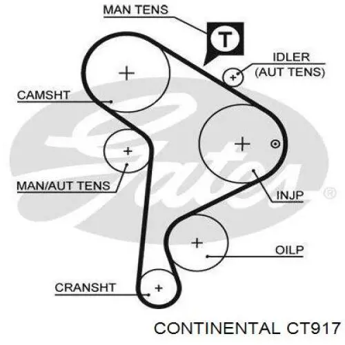 Correa de distribución Continental/Siemens CT917 precio, desde 58,83 EUR