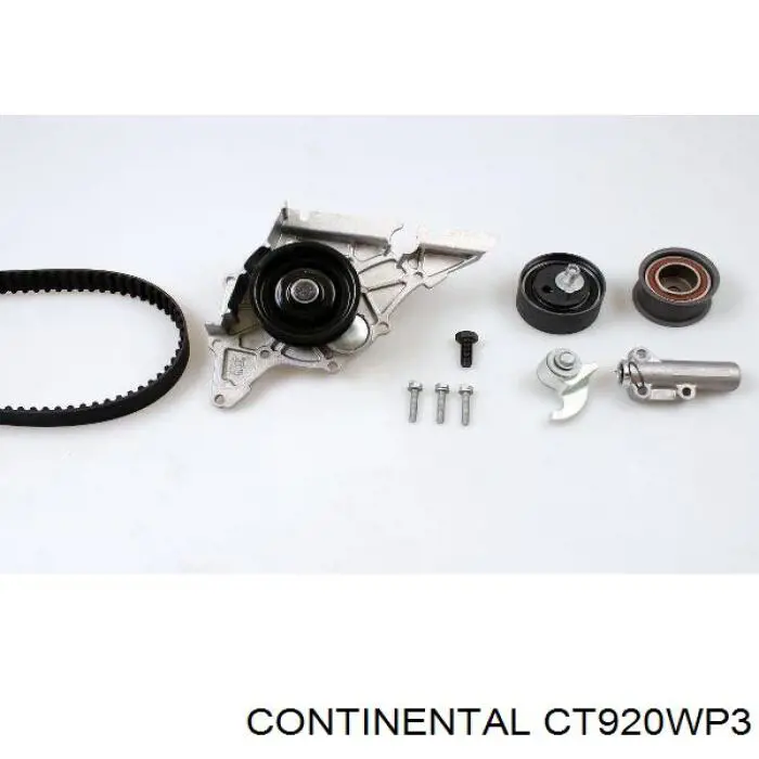 CT920WP3 Continental/Siemens correa de transmision, juego completo