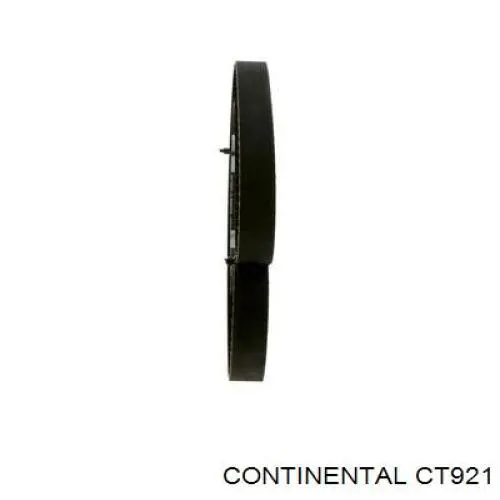 Correa distribución CT921 Continental/Siemens