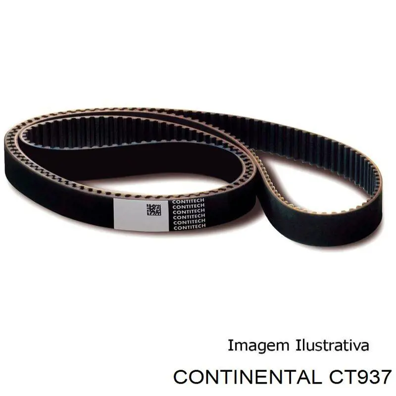 Correa distribución CT937 Continental/Siemens