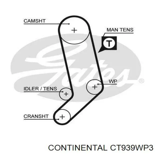 Kit de distribución CT939WP3 Continental/Siemens