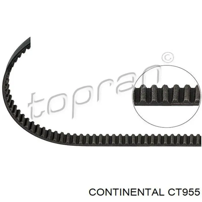 CT955 Continental/Siemens correa distribucion