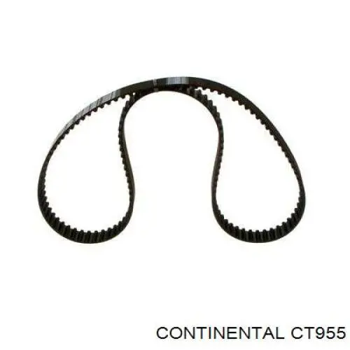 Comprar CT955 Continental/Siemens Correa distribución