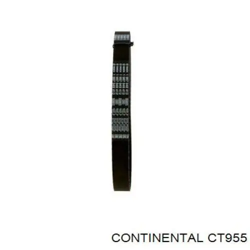 CT955 Continental/Siemens Correa dentada