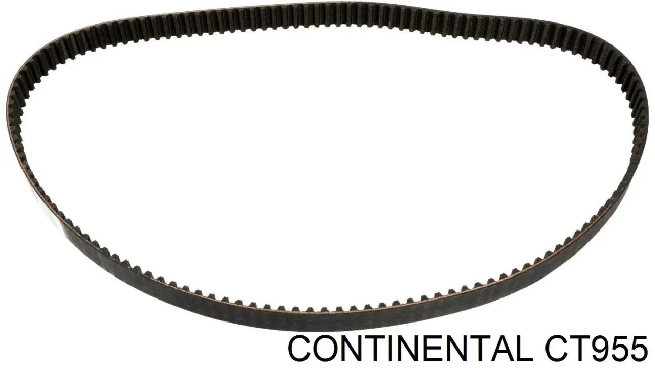 Correa distribución CT955 Continental/Siemens