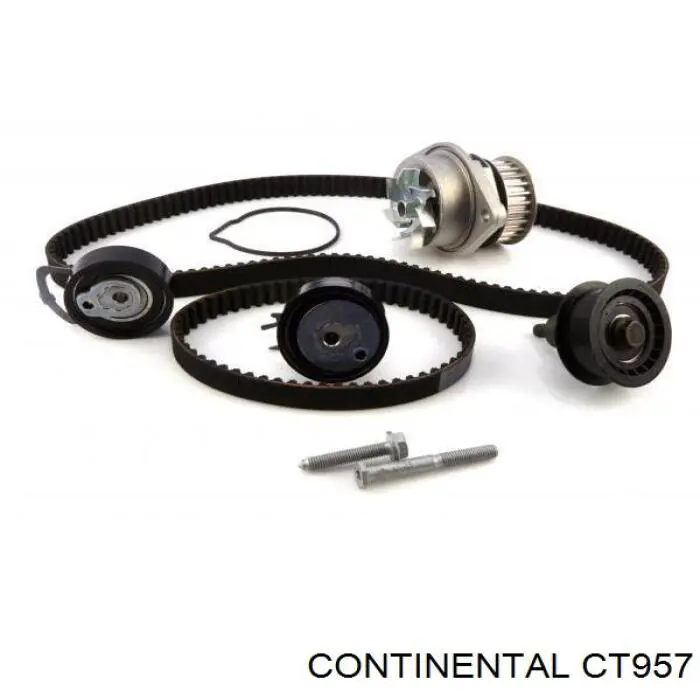 CT943 Continental/Siemens correa distribución
