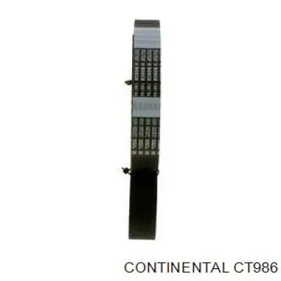 Correa de distribución Continental/Siemens CT986 precio, desde 48,32 EUR