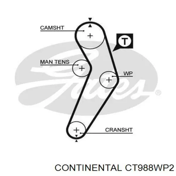 Kit de distribución CT988WP2 Continental/Siemens