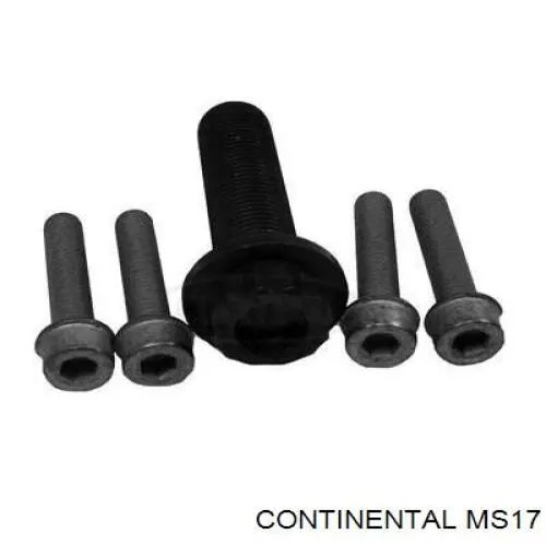 MS17 Continental/Siemens Perno de la polea del cigüeñal