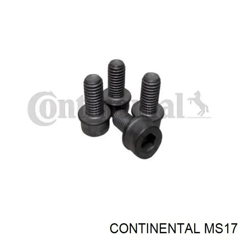 Perno de la polea del cigüeñal Continental/Siemens MS17 precio, desde 6,94 EUR