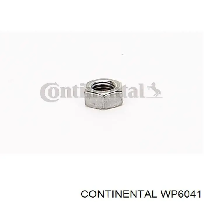 WP6041 Continental/Siemens Bomba refrigerante coche