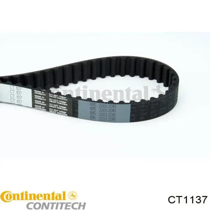 CT1137 Contitech correa distribucion