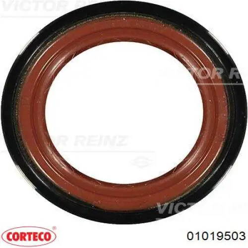Junta tórica universal Corteco 01019503 precio, desde 11,84 EUR