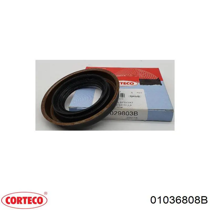 Comprar 01036808B Corteco Junta tórica universal