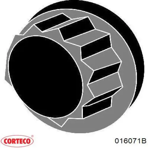  Tornillo culata KIA Rio 2