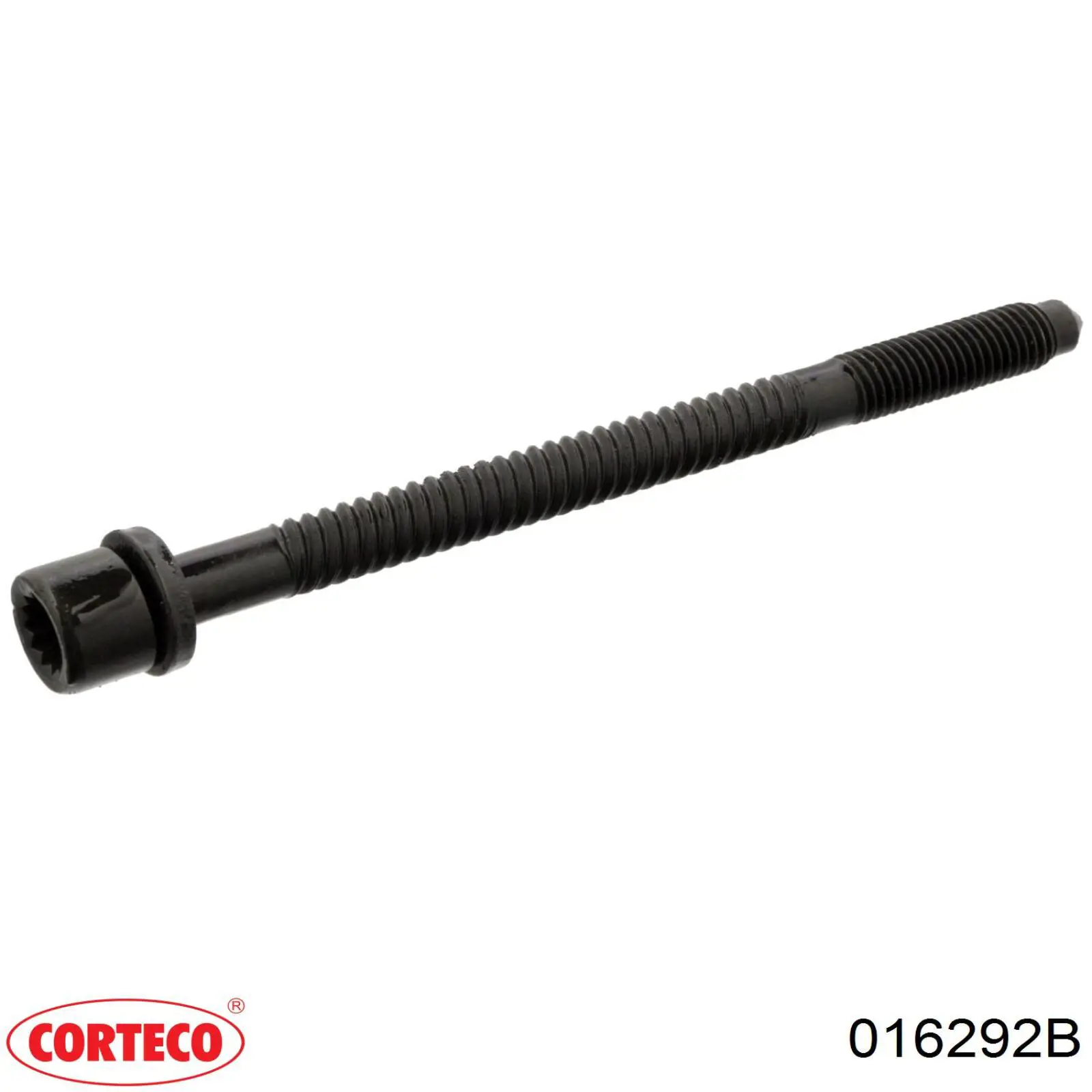 016292B Corteco