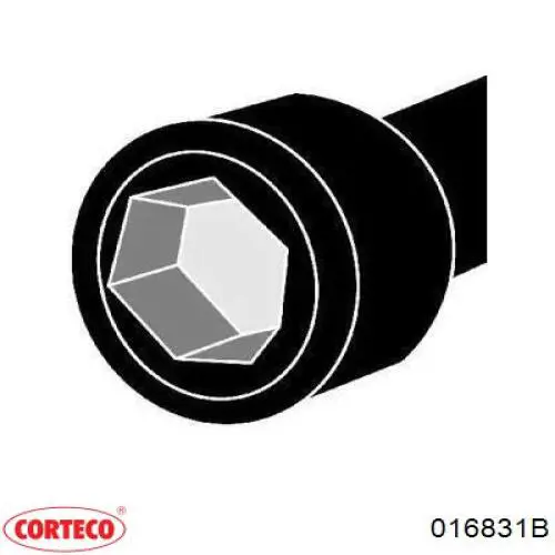 Tornillo culata 016831B Corteco