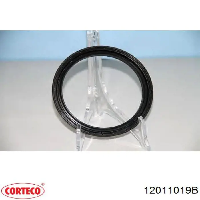 Comprar 12011019B Corteco Retén de cubo trasero