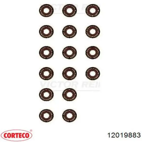 12019883 Corteco