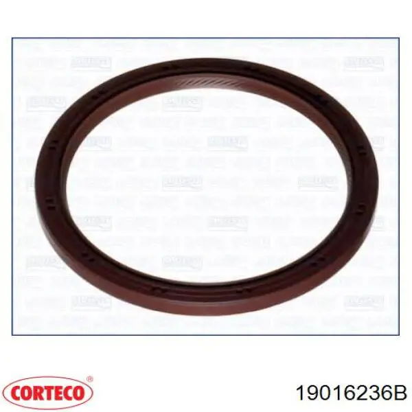 Comprar 19016236B Corteco Retén de cigüeñal
