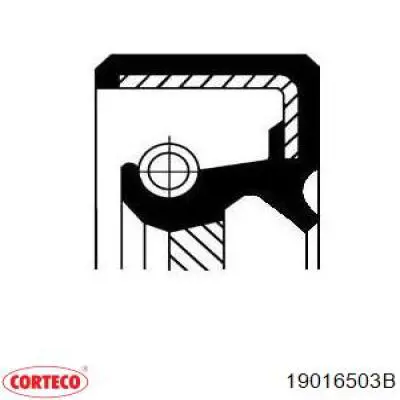 Retén del cigüeñal Corteco 19016503B precio, desde 9,53 EUR
