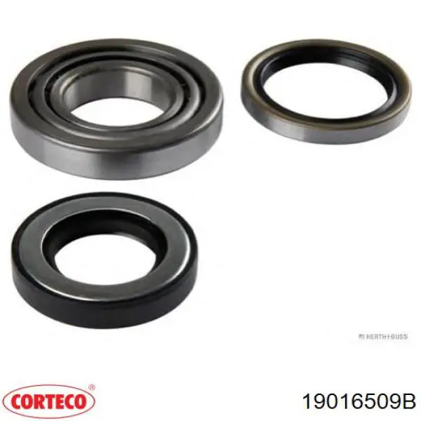 19016509B Corteco