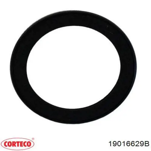 Comprar 19016629B Corteco Sello de aceite exterior del cubo trasero