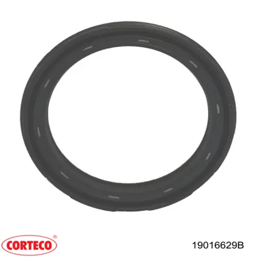 Sello de aceite exterior del cubo trasero 19016629B Corteco