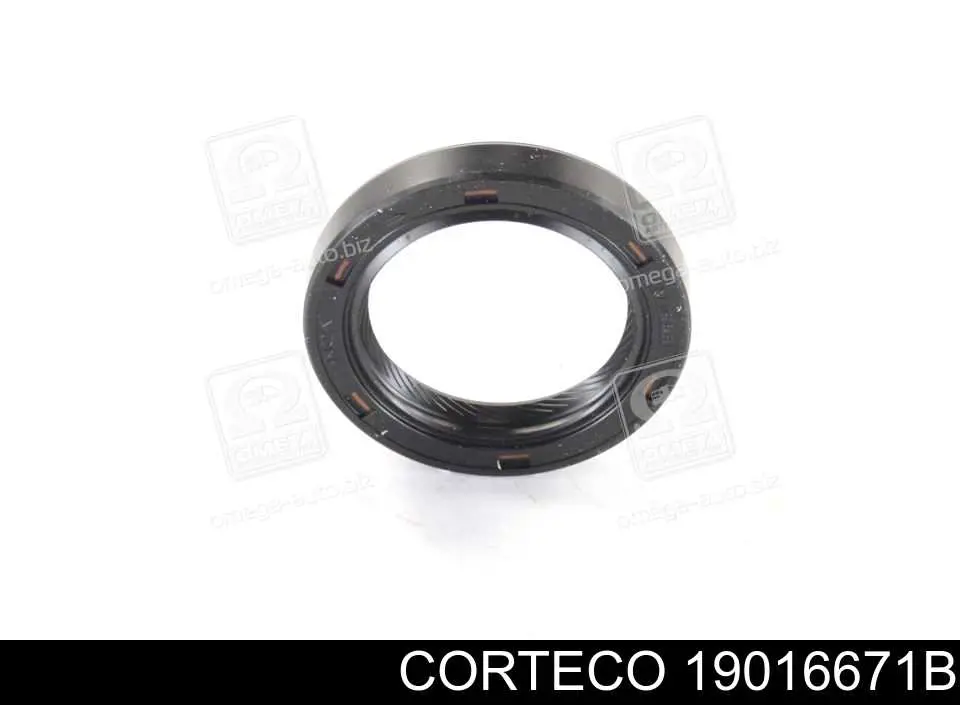 Retén del árbol de levas Corteco 19016671B precio, desde 8,49 EUR