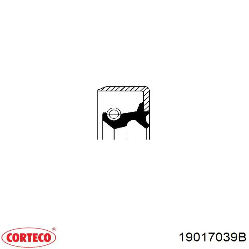 19017039B Corteco sello de aceite cubo trasero exterior