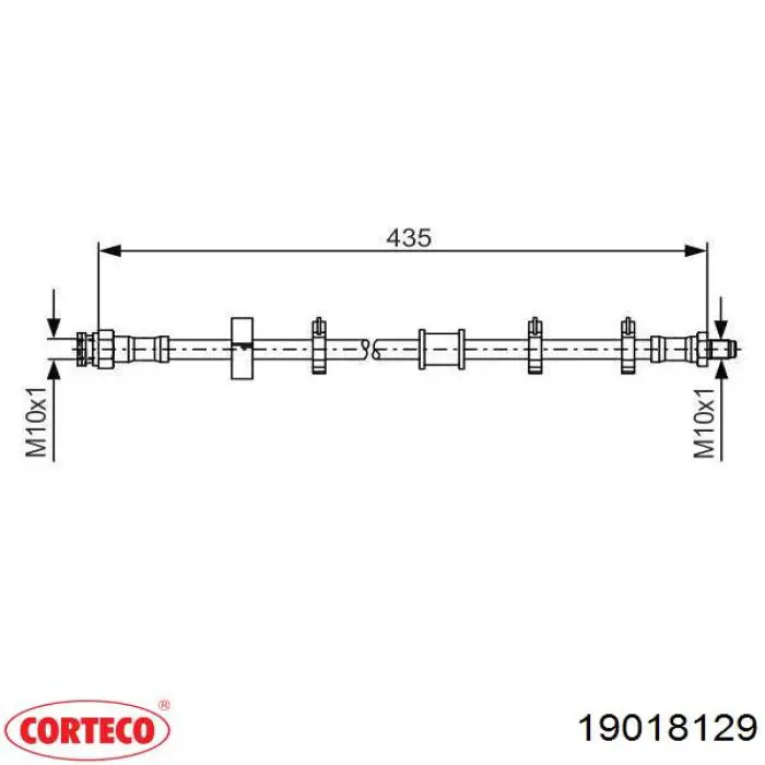 19018129 Corteco